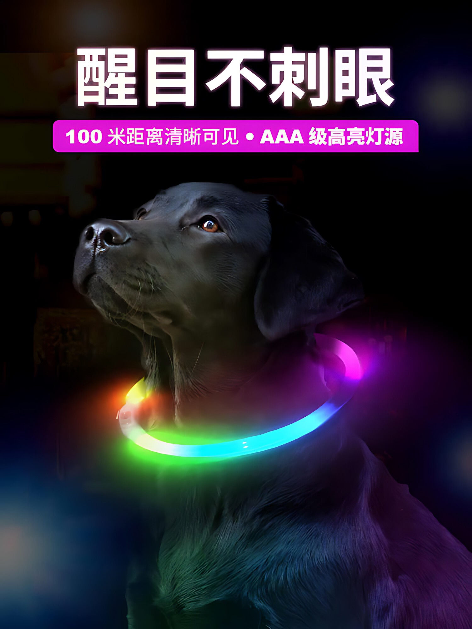 Dog Luminous Collar for Night Walks, Glow-In-The-Dark Night Light for Large and Small Dogs, Anti-Lost Light-Up Rechargeable Pet Collar