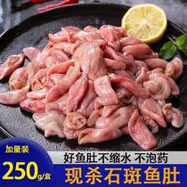 Fresh grouper maw fish maw basa fish maw fish maw fish bubbles wholesale barbecue hot pot ingredients fish belly fresh