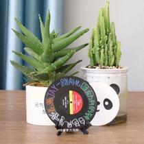 Vinyl record storage rack simple decorative painting stand ins birthday gift NetEase Cloud clock ornament display