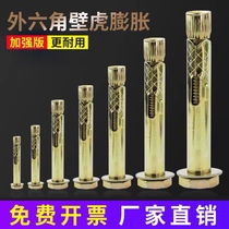 External hexagonal internal expansion screw explosion built-in expansion bolt internal explosion iron expansion pull explosion encyclopedia M6M8M