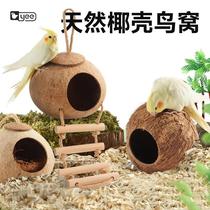 Coconut shell straw bird nest pearl black phoenix budgerigar parrot supplies bird gear grass nest grass silk bird nest breeding box outdoor