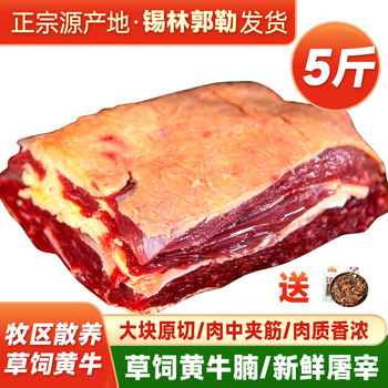Ximeng grass-fed beef brisket 5 pounds freshly cut