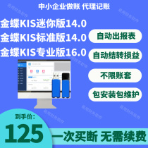 Kingdee kis financial software professional version standard version mini version dongle accounting accounting cashier accounting machine