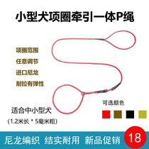Puppy small dog P rope dog leash training dog P chain nylon collar pull strap integrated rope Teddy Bichon Pomeranian