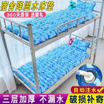 Summer cool mattress bed cold feeling water bed double bed home water mat refrigeration summer cool feeling water-filled mat single