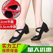 2024 New Tendon Sole Dance Shoes Spring and Autumn Middle-aged and Elderly Dance Shoes Adult Women Soft Sole