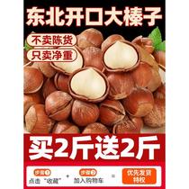 Northeastern specialty fresh large hazelnuts 2024 new arrival large hazelnut snacks for pregnant women nuts new years goods roasted seeds and nuts