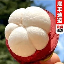 New mangosteen 5A imported from Thailand 3 catties of mangosteen