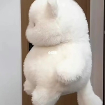 Cat Doll Original Cat Soft Cute Kitten Sleeping Hold Doll Doll Birthday Gift Cat Doll