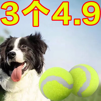 Training self-sex rubber teething border collar golden retriever