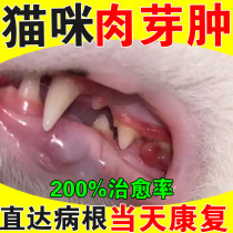 Feline eosinophilic granuloma cat stomatitis special effect red and swollen lips bad breath calculus cavity ulcer spray