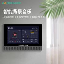 Home audio and video background music host smart home central control host background music two-in-one music system