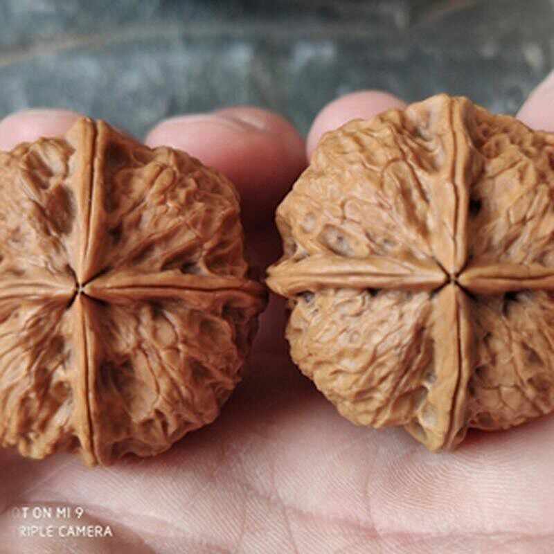 铁核桃三棱- Top 100件铁核桃三棱- 2025年12月更新- Taobao