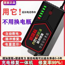 German imported battery repair artifact electric vehicle multifunctional universal intelligent repair activation 48V battery charger