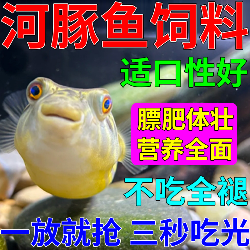 Pufferfish Feed, Chocolate Angelfish Food, Doghead Zebrafish, Tropical Small Ornamental Fish Special Food