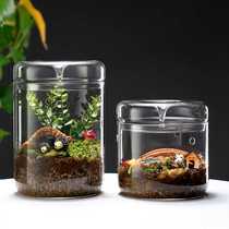 Collection of hand-made desktop glass micro-landscape dew cups plant ornamental bottles transparent lighting bottles fish tank ecological bottles
