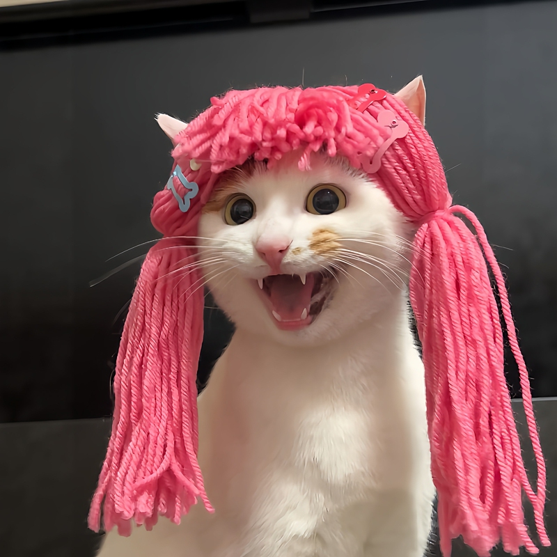 Dopamine Cat Hair Accessories Braided Wig Hat Pet Dog Costume Funny Headwear Photo Props Dopamine Cat Hair Accessories Braided Wig Hat Pet Dog Costume Funny Headwear Photo Props