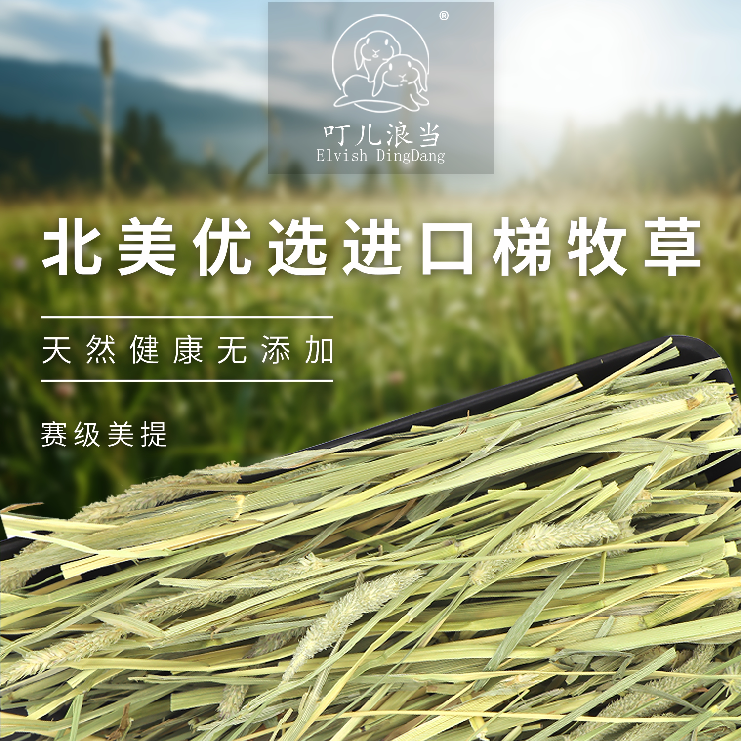 Top-grade imported timothy hay, sun-dried for maximum nutritional value ...