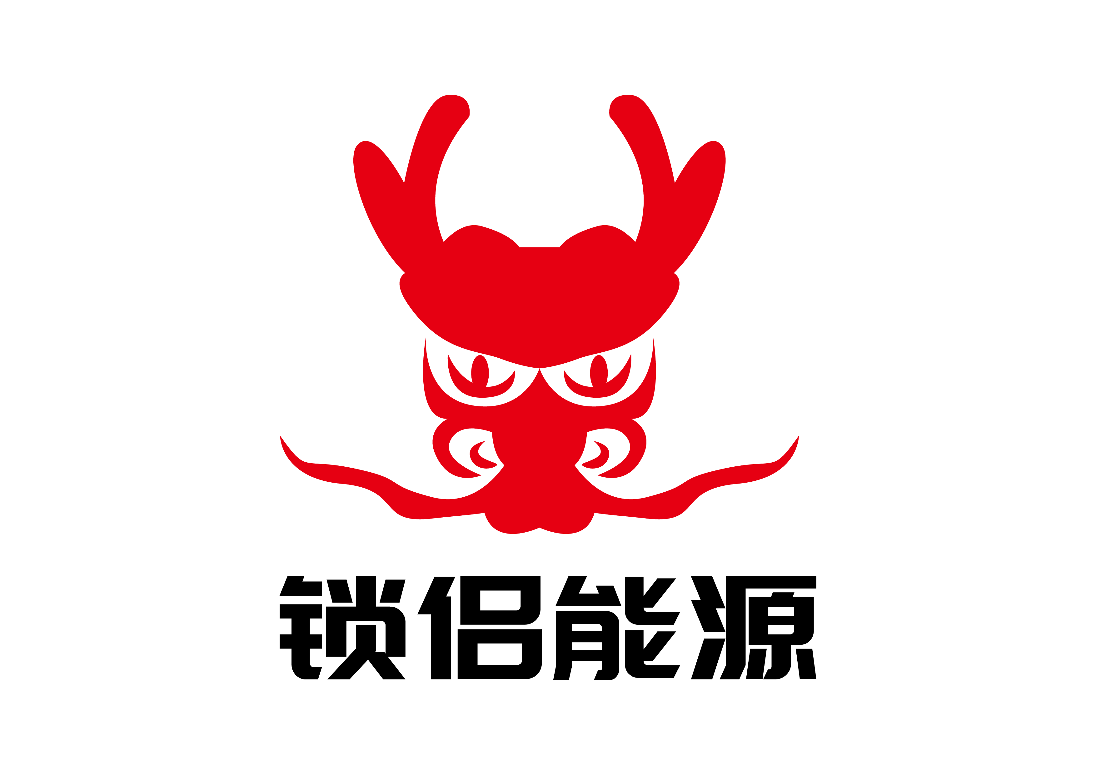 锁侣能源旗舰店的LOGO