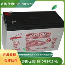 Spot American GENESIS battery NP100-12 maintenance-free energy storage emergency power supply 12V battery