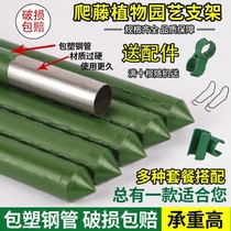 Watermelon climbing pergola gardening flower stand bracket plant climbing frame plastic-coated steel pipe indoor and outdoor clematis grape bracket