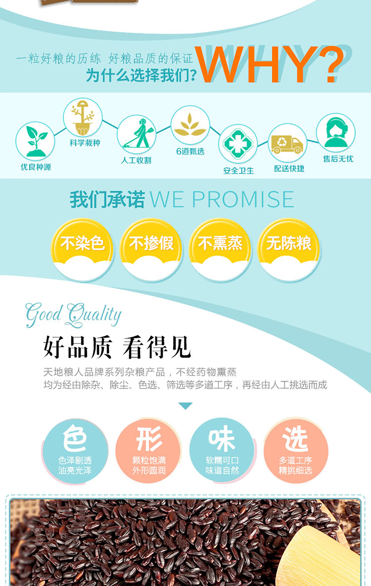 7-66c3f3a91bbb5.jpg