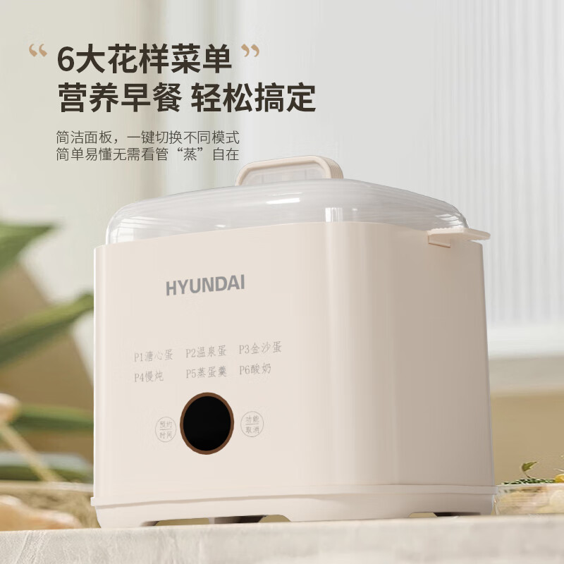 【禁上公域】韩国现代HYUNDAI液体加热器（煮蛋器）NE-250A