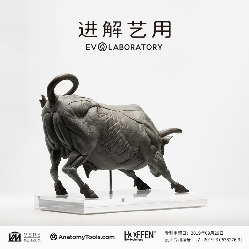艺唯欧骨骼肌肉解剖PVC牛科教模型,解锁科学与艺术的融合_手办_淘宝游戏网