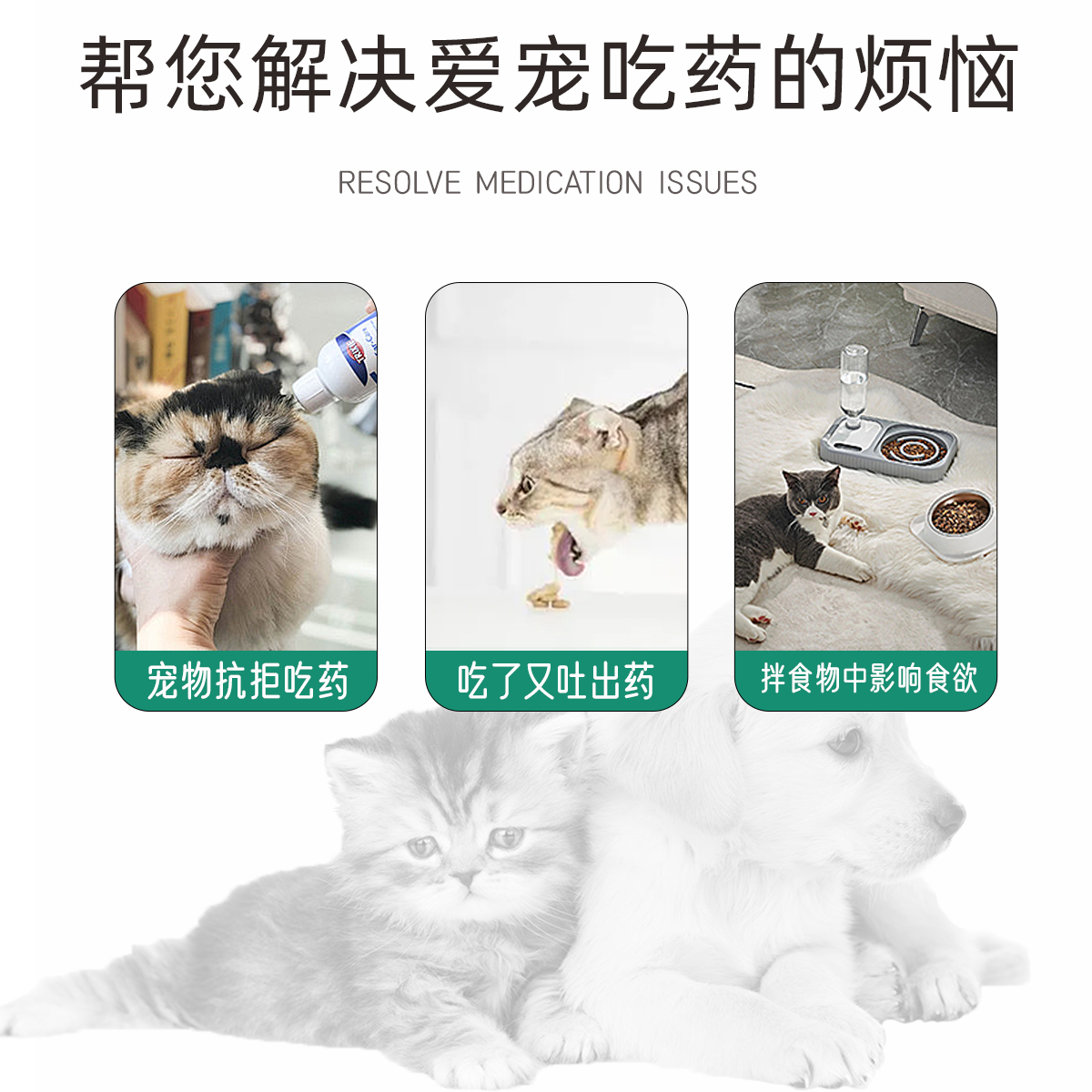 宠物喂药器：猫咪狗狗喂药神器，轻松搞定喂药难题！
