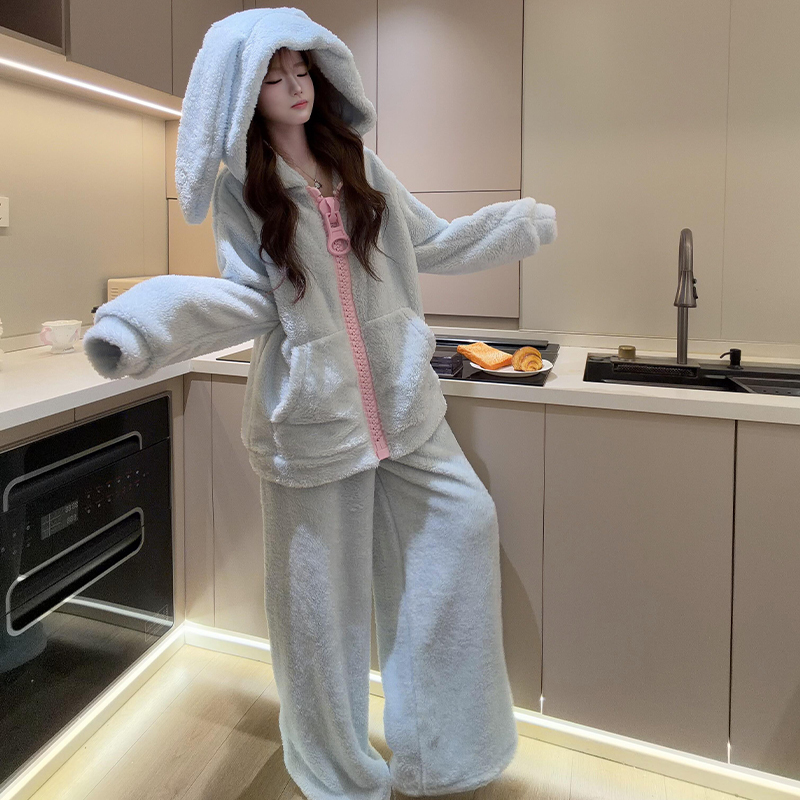 Coral Fleece Pajamas for Women, 2026 New Winter Warm and Thickened with Extra Fleece, Large Zipper Loungewear Set with a High-End Feel Coral Fleece Pajamas for Women, 2026 New Winter Warm and Thickened with Extra Fleece, Large Zipper Loungewear Set with a High-End Feel