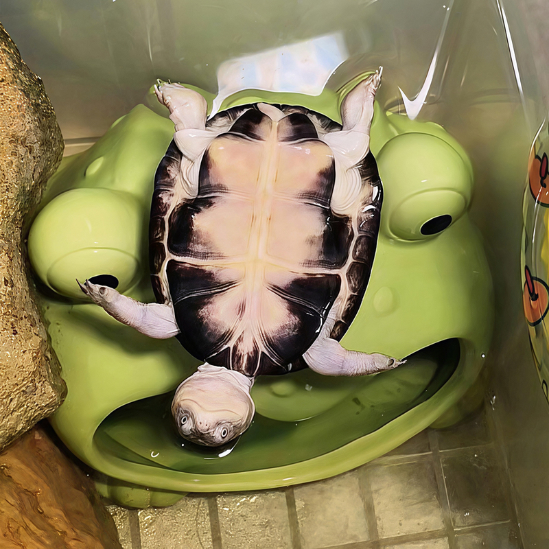 Turtle Hideout, Frog Landscaping Decoration, Ceramic Ornaments, Turtle Tank High-Value Decorations, Reptile Sleeping Nest Cave