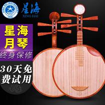 Beijing Xinghai 8214-A Dalbergia rosewood Yueqin