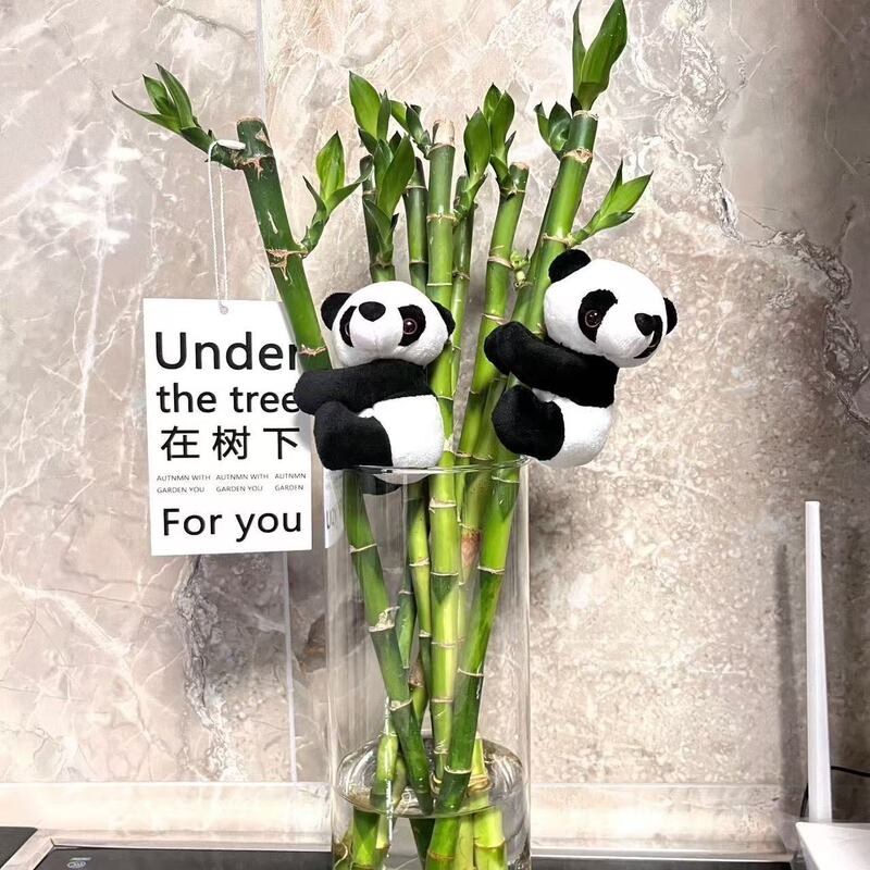 Green Plant Hanging Decoration Money Tree Decoration Monstera Clip Mini Panda Green Plant Small Hanging Decoration Climbing Panda Green Plant Hanging Decoration Money Tree Decoration Monstera Clip Mini Panda Green Plant Small Hanging Decoration Climbing Panda
