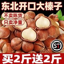 Northeastern specialty fresh large hazelnuts 2024 new arrival large hazelnut snacks for pregnant women nuts new years goods roasted seeds and nuts