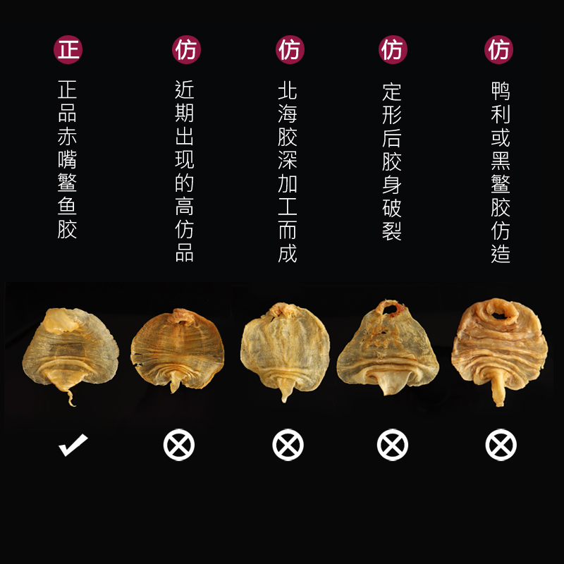 湛江赤嘴鳘鱼胶：深海珍宝的孕妇滋养之道