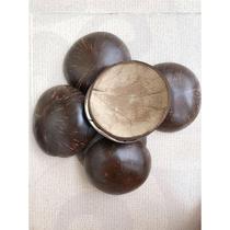 Natural coconut shell fish old JMA coconut shell broken discs polished cylinder decoration natural scenery environmentally friendly anti-corrosion Moss tree