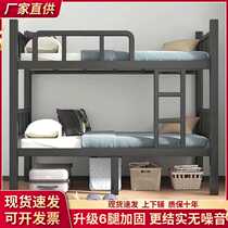 Bunk bed iron frame bed bunk bed iron bed double dormitory bed bunk bed iron bed student high and low bed frame bed