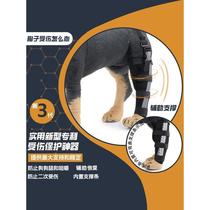 Dog patellar dislocation fixed belt leg brace postoperative fracture auxiliary support joint cruciate ligament brace