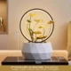 Lotus Qi Shengli Water Display-Golden Ling Ling Pen Funtern Circle [Рекомендуемая рекомендация подарка]