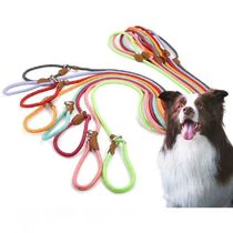 Dog Leash P Chain Collar Leashes Dogs Chain Anti Loss