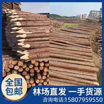 Fir larch log piling wood landscape greening tree support pole flood control river pile slope protection foundation log