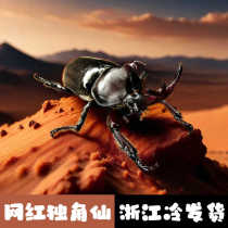 Self-operated Domeianlia Beetle Unicorn Fairy Rainbow Ladybug Childrens Cognitive Simulation Animal Toy