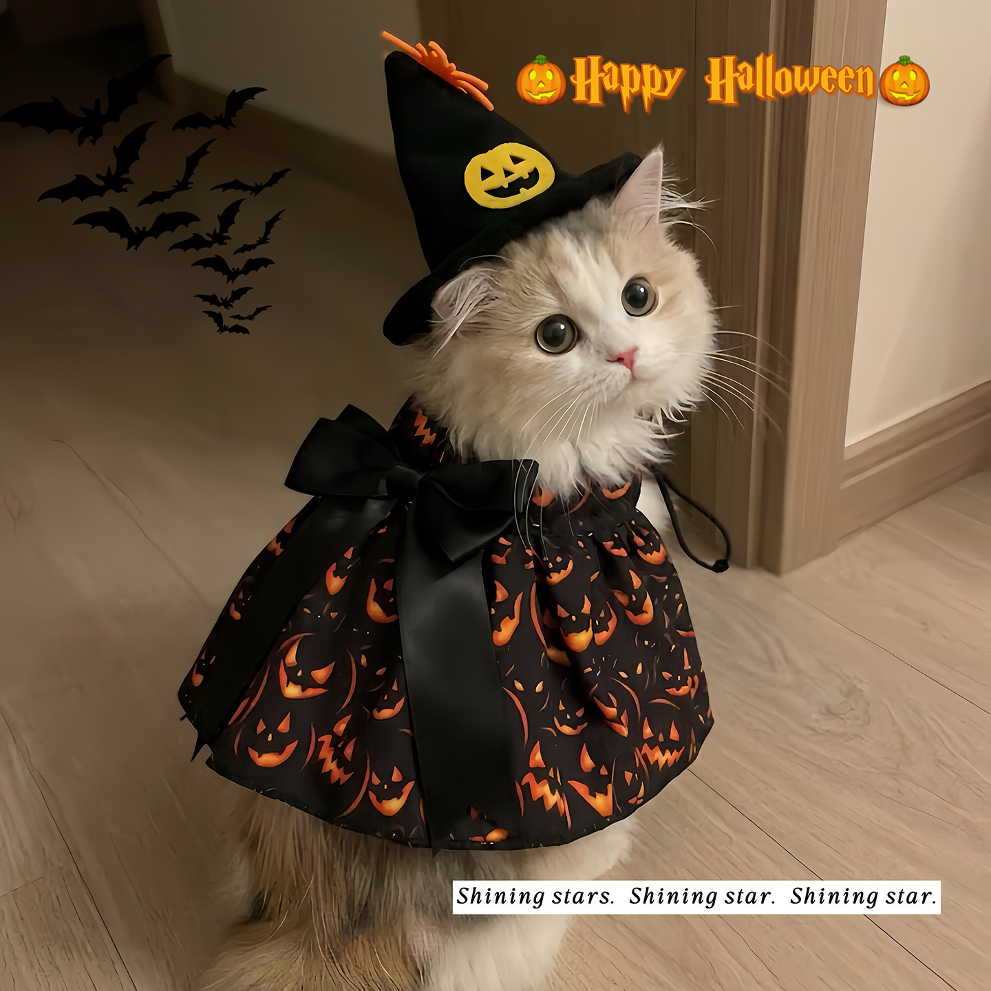 Halloween cat costume dress, kitten witch cape, pet Halloween atmosphere clothes, cat and dog photo props