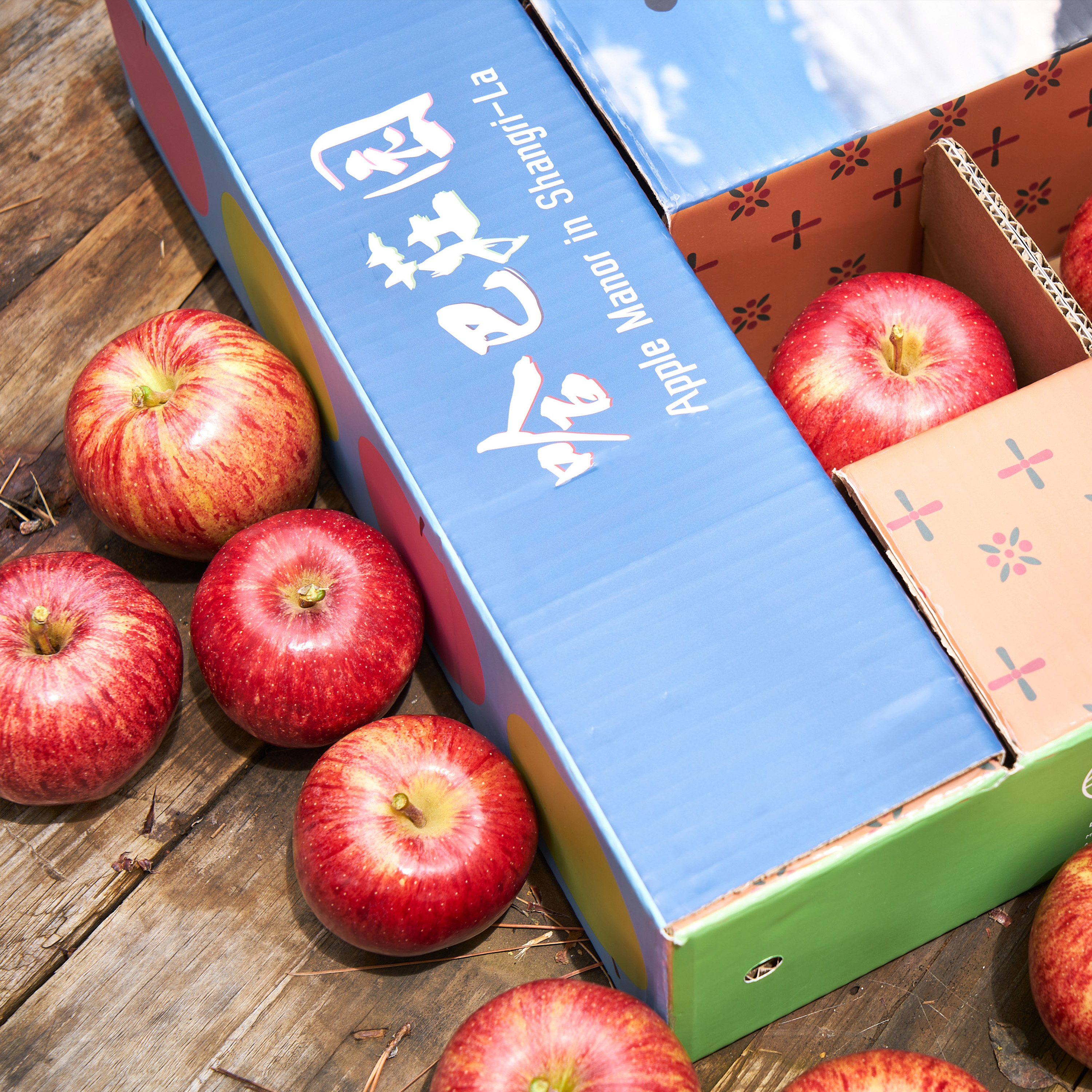 巴彦倬尔的专属旅程：包车服务背后的秘密