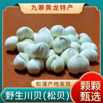 Wild Sichuan Fritillary Sichuan Songpan Sichuan Fritillary Pine Fritillary Sichuan Fritillaria Pine Bean Jianbei origin direct sales Quanhuazhongbaoyue 50g bottle