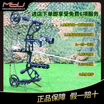 Archer Raptor compound bow outdoor shooting sports short-axis bow compound and high-precision archery dual-purpose steel ball bow