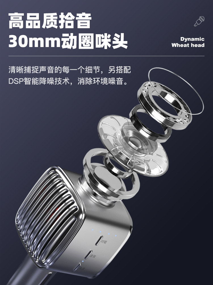 Soaiy Sony Ericsson Mc29 Microphone and Speaker Integrated Microphone for Home Use, Universal Karaoke Wireless Home Ktv Singing Machine