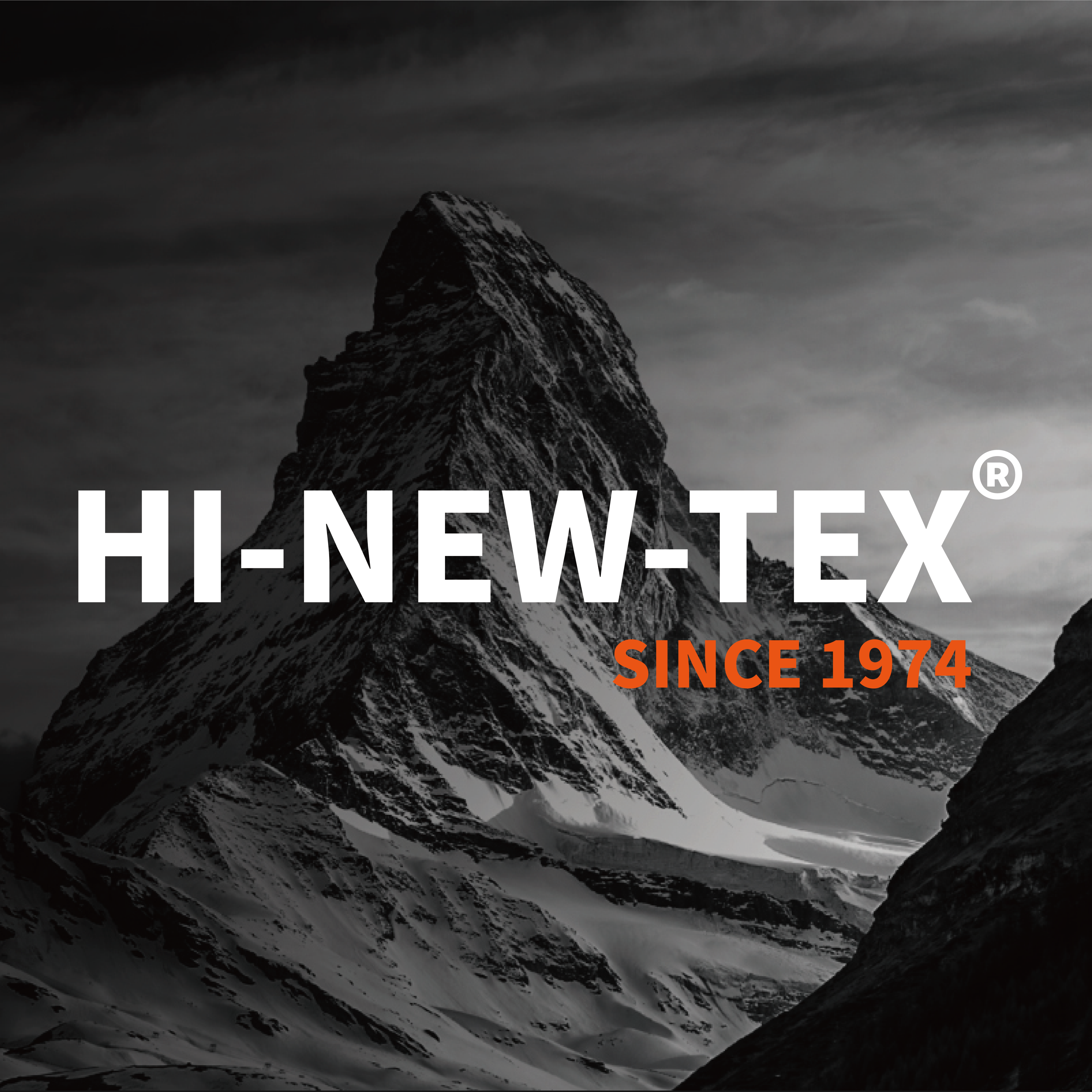 Hinewtex旗舰店的LOGO