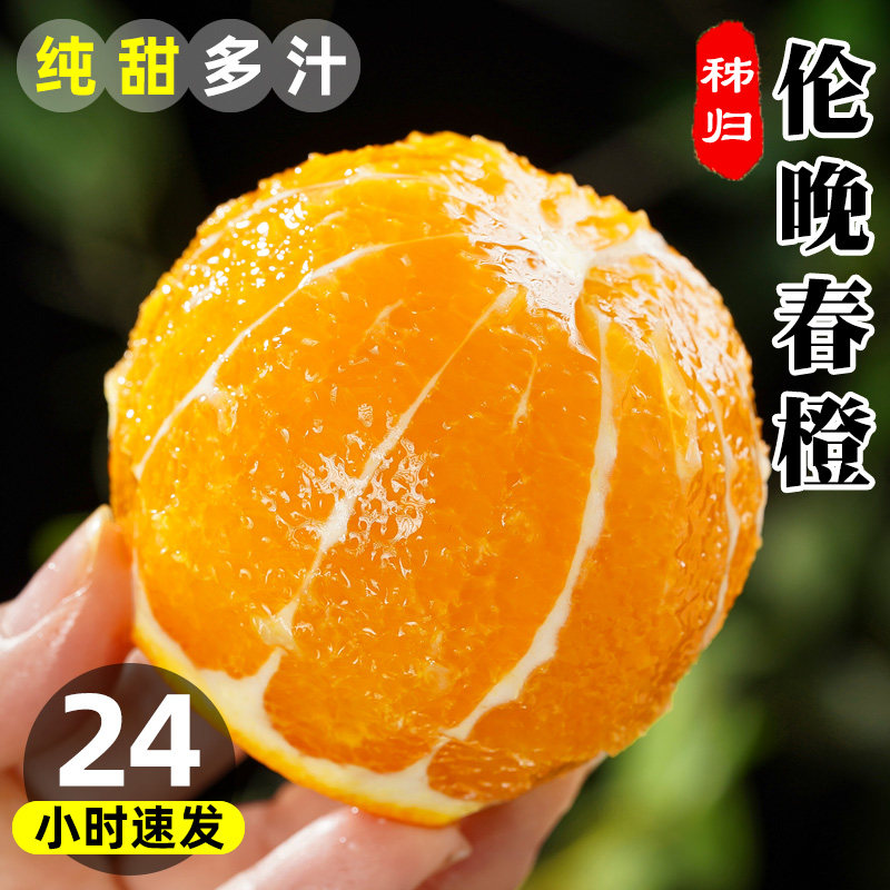 伦晚脐橙:正宗湖北秭归,孕妇水果新选择,甜春橙手剥整箱橙子大揭秘!-橙-淘宝百科网