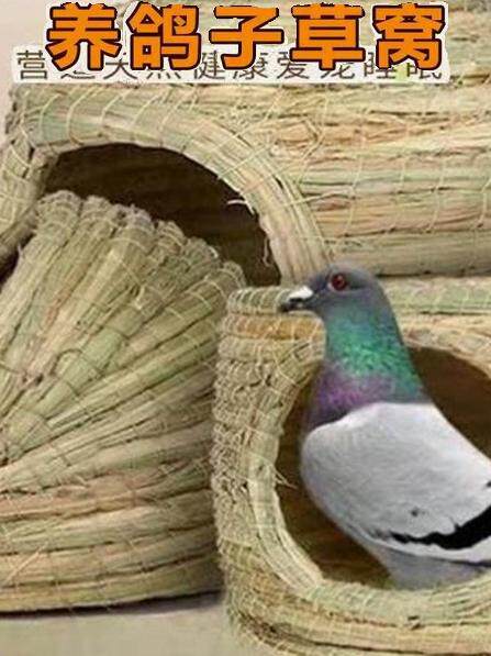 Pigeon Nest, Pigeon Nest, Pigeon Nest, Special Quail, Black Phoenix Bird Nest, Parrot Nest, Warm Bird's Nest, Egg-Laying Grass Nest